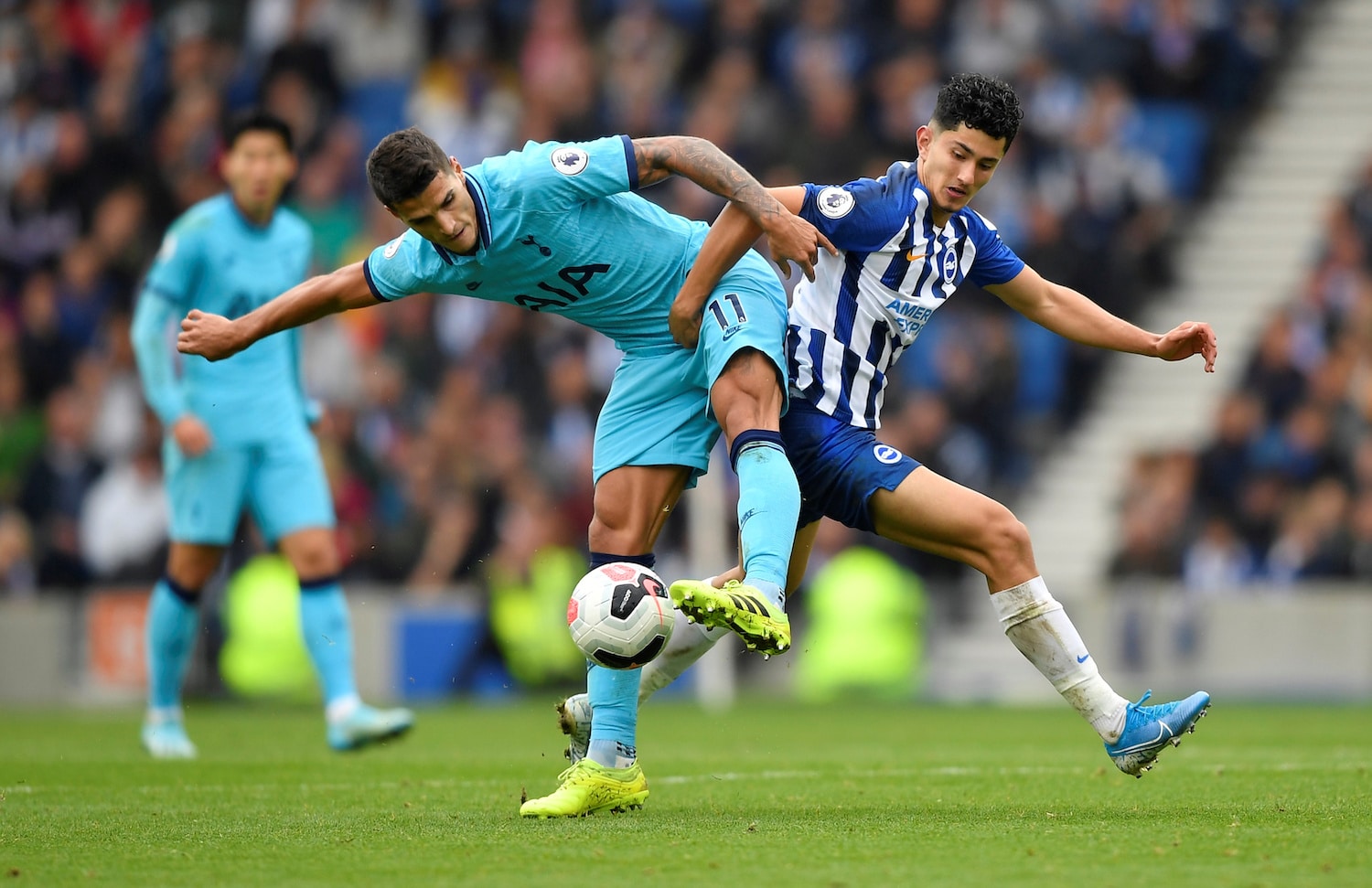 Брайтон тоттенхэм прогноз. Брайтон Тоттенхэм. Brighton vs Tottenham. Тоттенхэм Брайтон прогноз на сегодня.