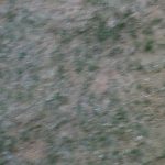 603953966287713