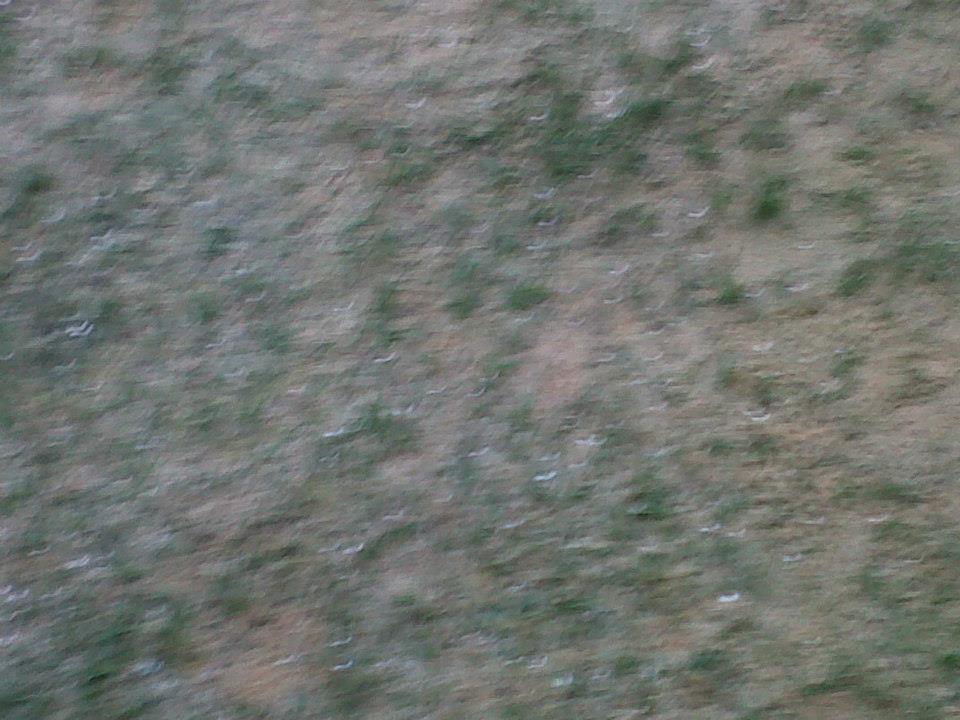 603953966287713