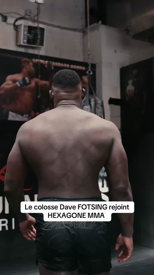 Lion Indomptable Cameroun — 23 ans grappling & JJB