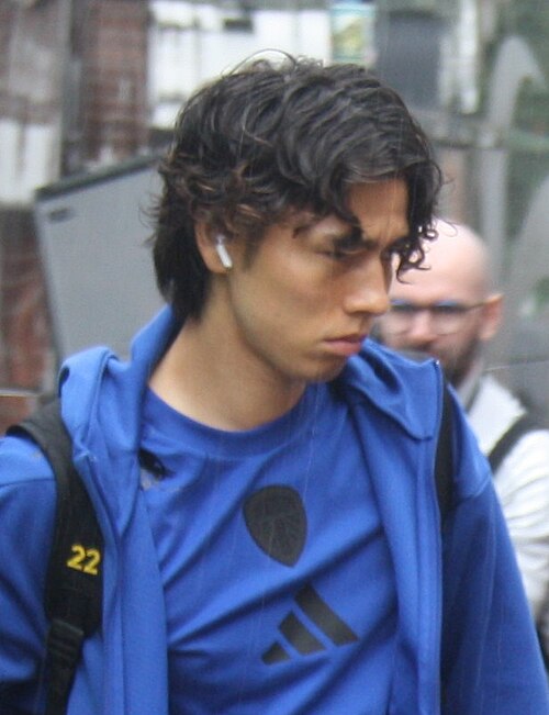 Ao Tanaka