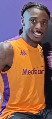 MOISE