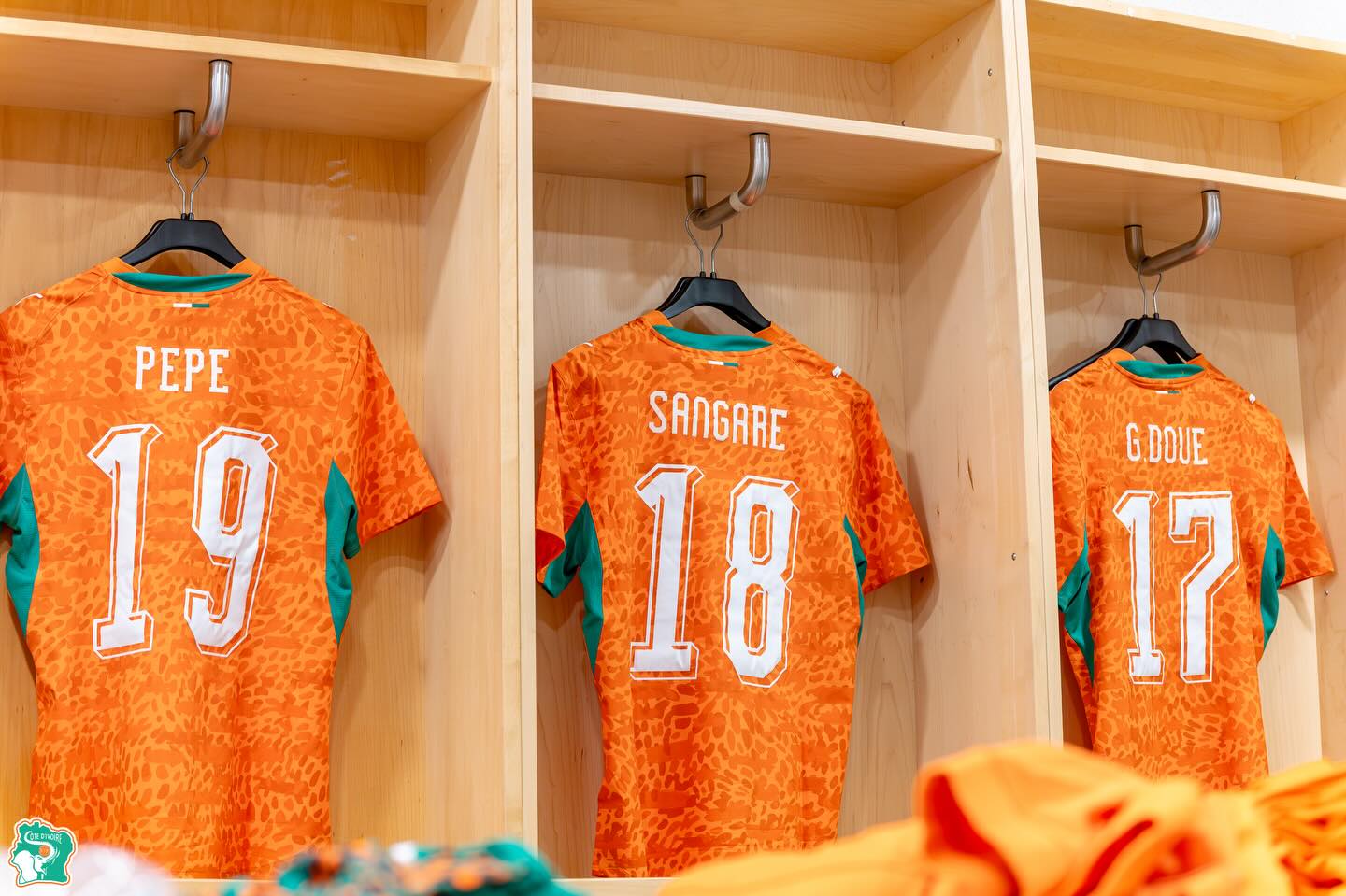 Friendly: France - Ivory Coast, the Elephants' lineup