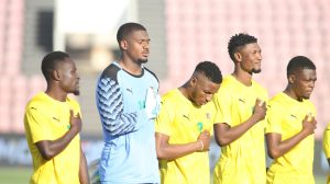 Eperviers Togo