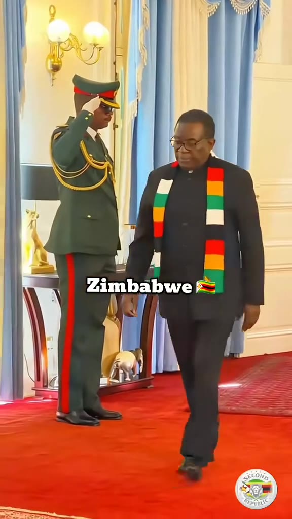 African Presidents - Presidents africains (Video Virale TikTok)