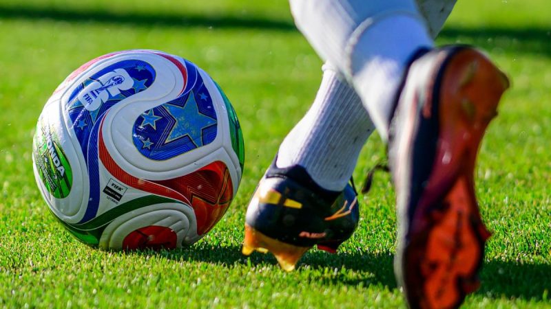 Coupe du monde 2026 : Des morceaux de pelouse mis en vente par la FIFA