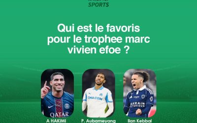 Créé en 2009, le prix Marc-Vivien Foé récompense le meilleur joueur africain évoluant en France. Selon vous, quel jou…