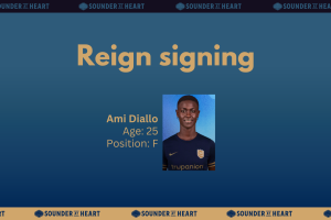 Ami Diallo