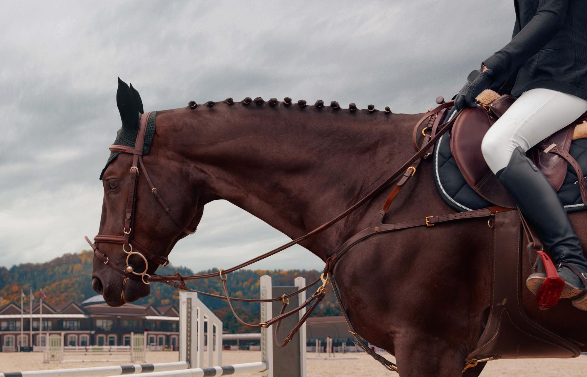 https://www.magnific.com/free-photo/equestrian-sport-young-girl-rides-horse-championship_28993717.htm#fromView=search&page=1&position=3&uuid=68f614c3-4a98-40ab-9910-75f26f633d93&track=ais_hybrid&query=horse+racing cavalier en compétition