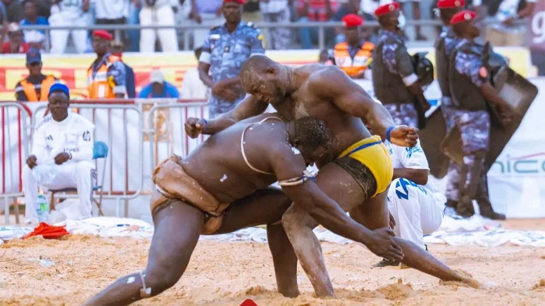 Lutte sénégalaise : Sa Thiès rêve d’un tournoi royal pour désigner le véritable Roi des Arènes
